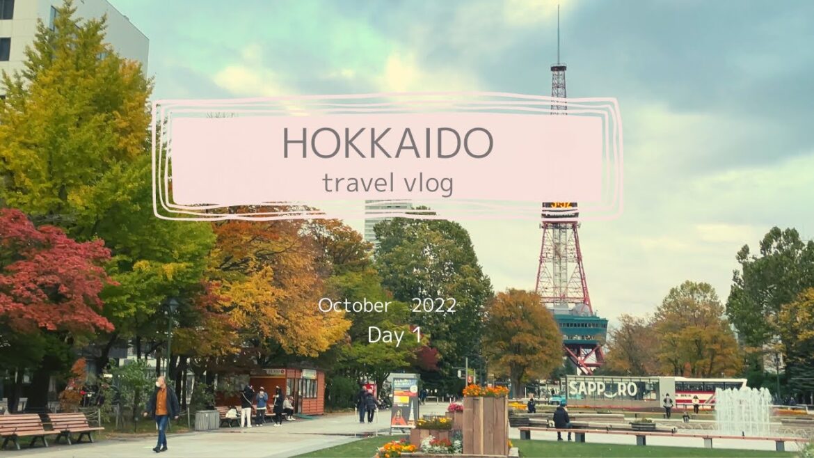 【北海道旅行・2022秋】3年ぶりの旅は北海道から始まりました✈スープカレー/根室花まる/夜パフェ/食べてばっかりの1日目 【北海道旅行・2022秋】3年ぶりの旅は北海道から始まりました✈スープカレー/根室花まる/夜パフェ/食べてばっかりの1日目