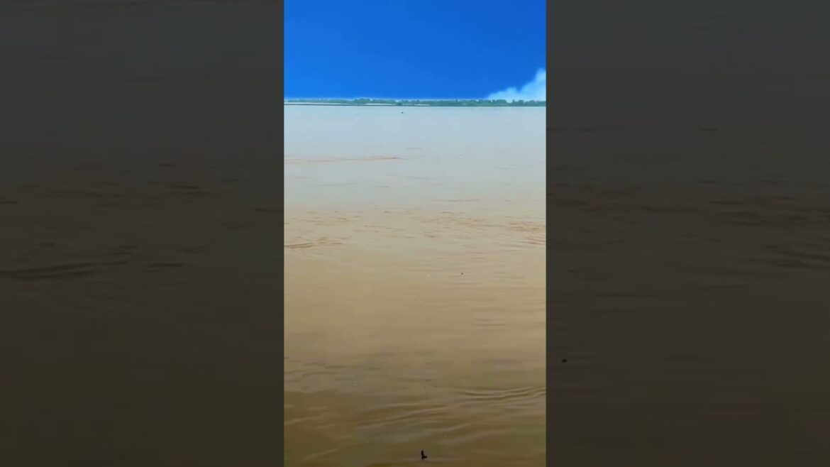 Patna Ganga Maa🙏🌹🙏Udte Badal Se Poochho #shorts #short #youtubeshorts #status #india #bihar Patna Ganga Maa🙏🌹🙏Udte Badal Se Poochho #shorts #short #youtubeshorts #status #india #bihar