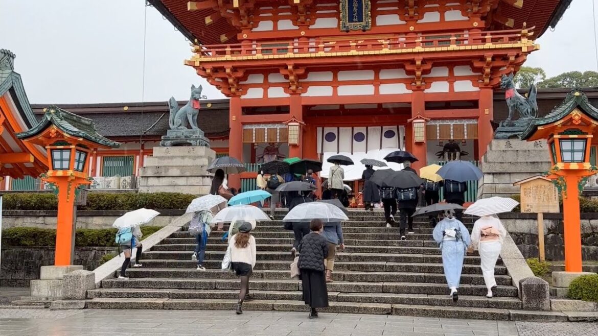 JAPAN WALK - Kyoto rainy Inari Shrine