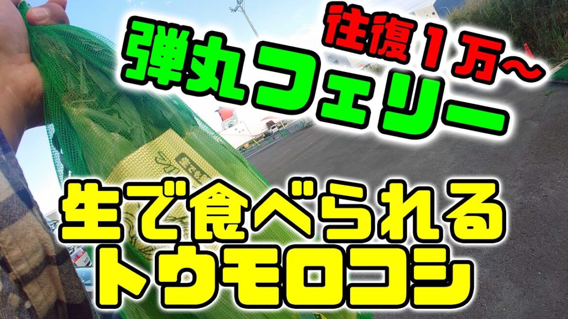 フェリーさんふらわあ　大分・熊本旅VOL.４　生で食べられるトウモロコシ