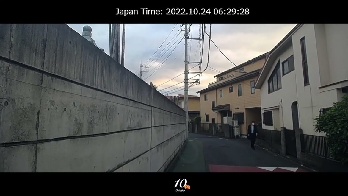 東京都内移動ライブカメラ【FSX公式】 Tokyo City Live Camera10/24撮影 東京都内移動ライブカメラ【FSX公式】 Tokyo City Live Camera10/24撮影