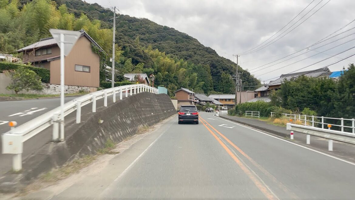 ASMR Immersive Driving Road Ambiance Aichi Japan ASMR Immersive Driving Road Ambiance Aichi Japan