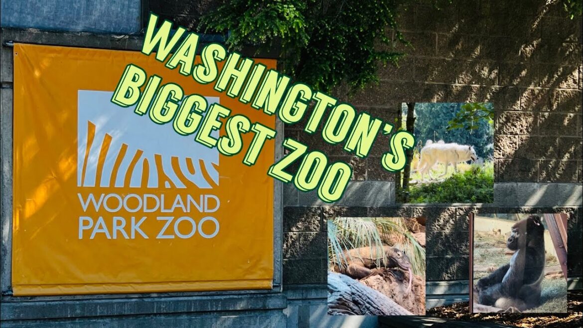 Woodland Park Zoo Tour Seattle & Rose Garden Food Court Animals Galore Biggest in the State Woodland Park Zoo Tour Seattle & Rose Garden Food Court Animals Galore Biggest in the State
