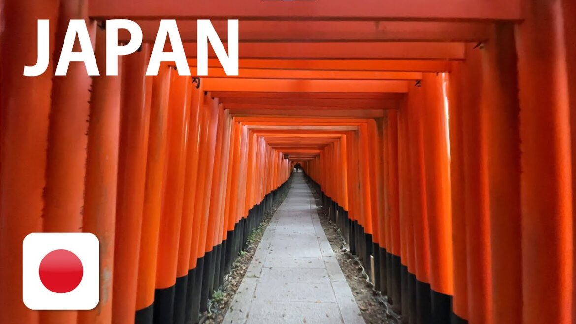 [4K] Fushimi Inari Shrine in Kyoto #1 Sightseeing spot in Japan (Travel Guide)