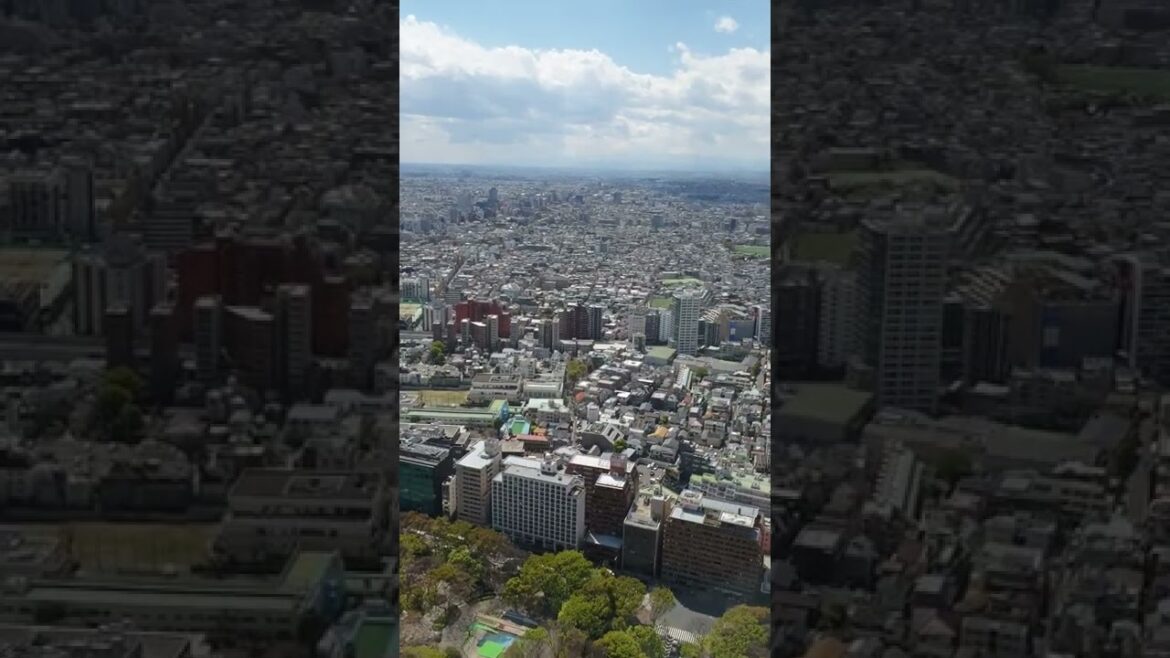 Mount fuji in Japan #shorts