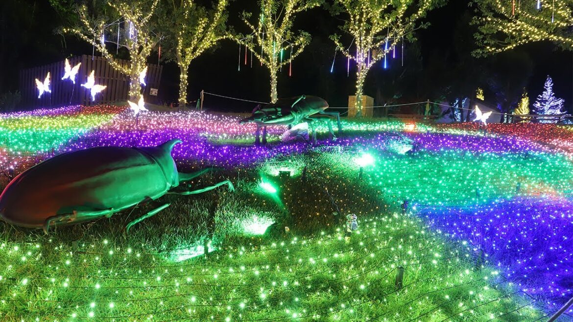 ハーベストの丘でイルミネーションイベント「Wonder Night Hill 2022」