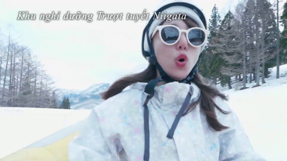 【Việt】Promotion Movie of “Snow Resort Niigata” （ベトナム語　総合編）