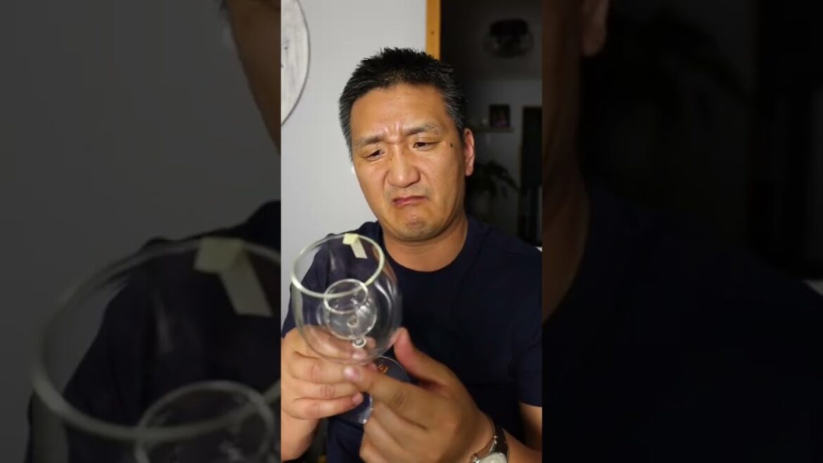 The WEIRDEST Wine Glass Ever? The WEIRDEST Wine Glass Ever?