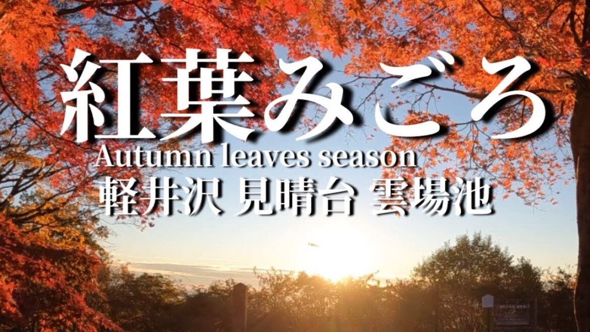 軽井沢日の出と紅葉　見晴台　雲場池Karuizawa Sunrise and autumn leaves Miharashidai Kumoba Pond