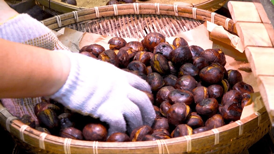 Japanese Street Food | Roast Chestnuts in Kyoto