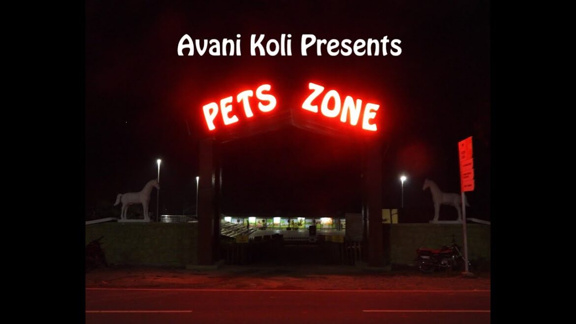 Gujarat Pet Zone | Kevadia Tour | Statue of Unity | Places to visit at Gujarat with Avani Koli