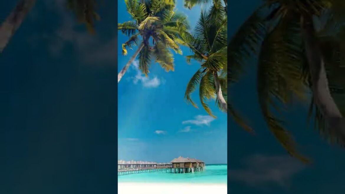 Travel video ideas Maldives #maldives Travel video ideas Maldives #maldives