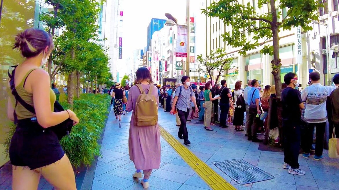 Shinjuku in Tokyo. A dance festival will be held♪💖🐶4K ASMR non-stop 1 hour 02 minutes Shinjuku in Tokyo. A dance festival will be held♪💖🐶4K ASMR non-stop 1 hour 02 minutes