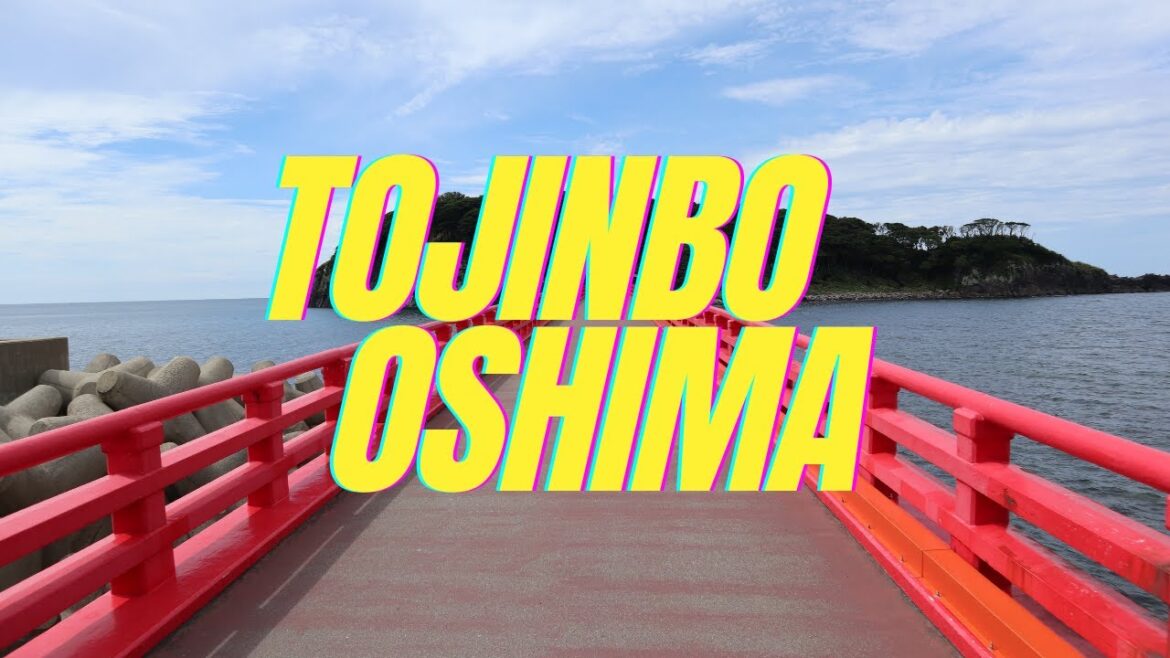 The Mysterious Tojinbo Cliffs & Oshima Island ｜ Experience Sakai, Fukui JAPAN
