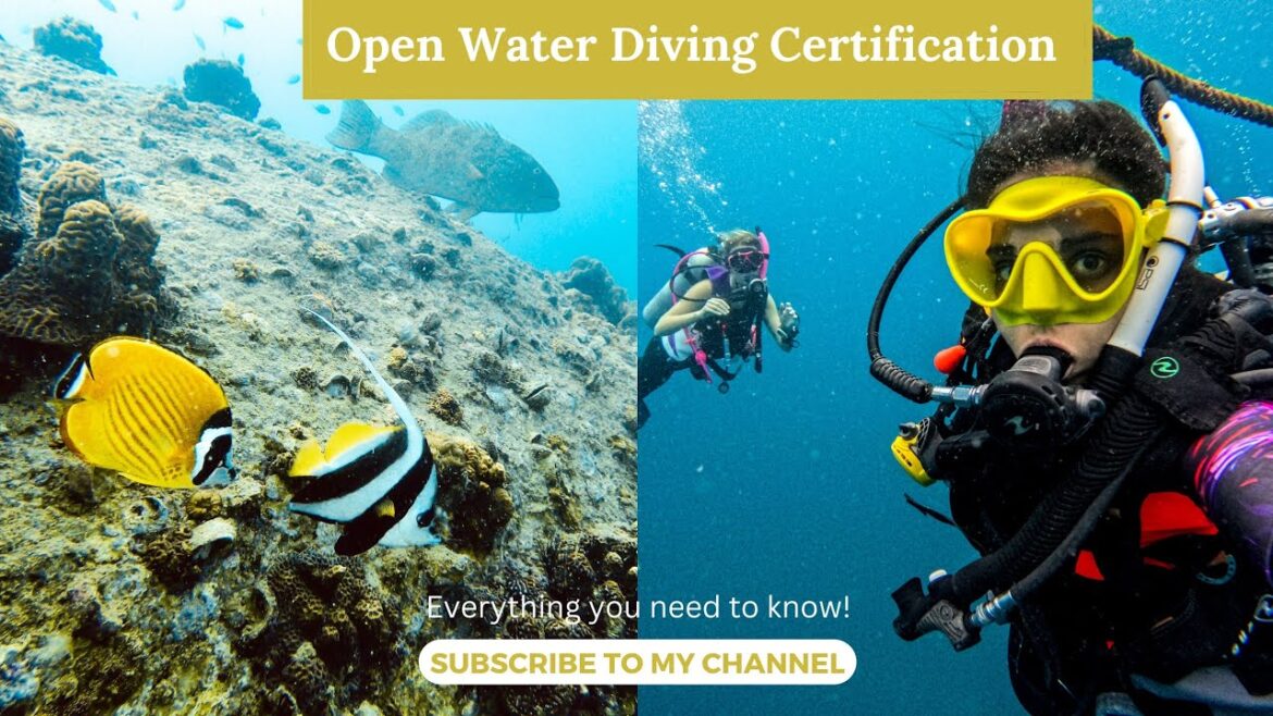 PADI Open Water Diving Course: Becoming a Certified Scuba Diver in Thailand