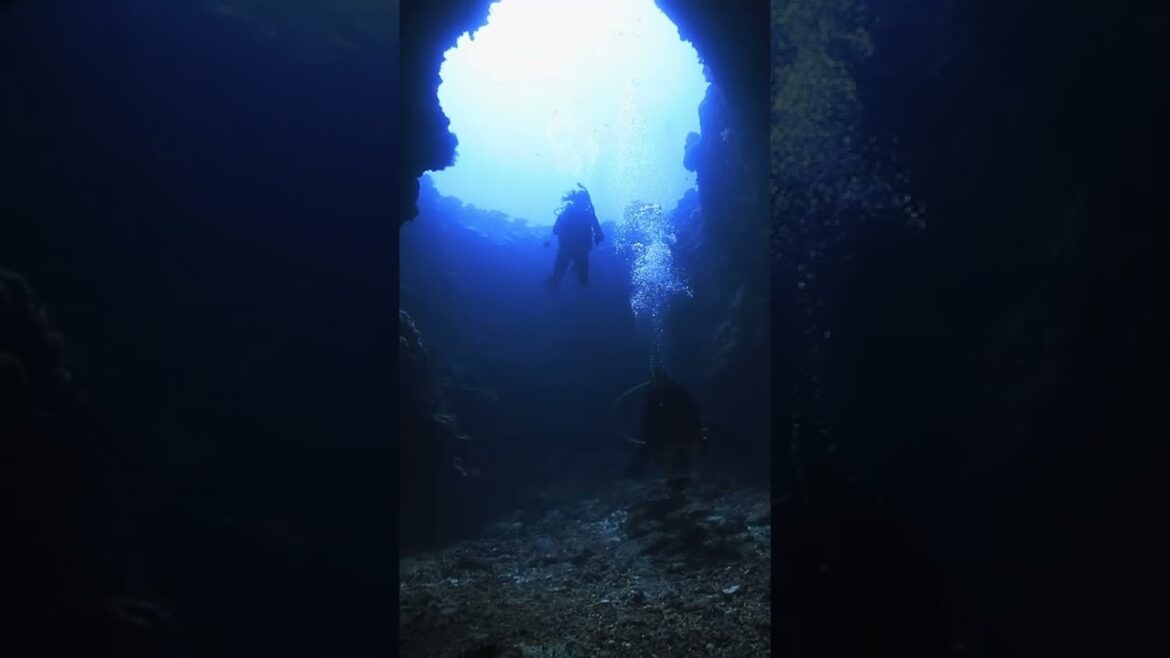 Scuba Diving into this dark cave on the Great Barrier Reef Scuba Diving into this dark cave on the Great Barrier Reef