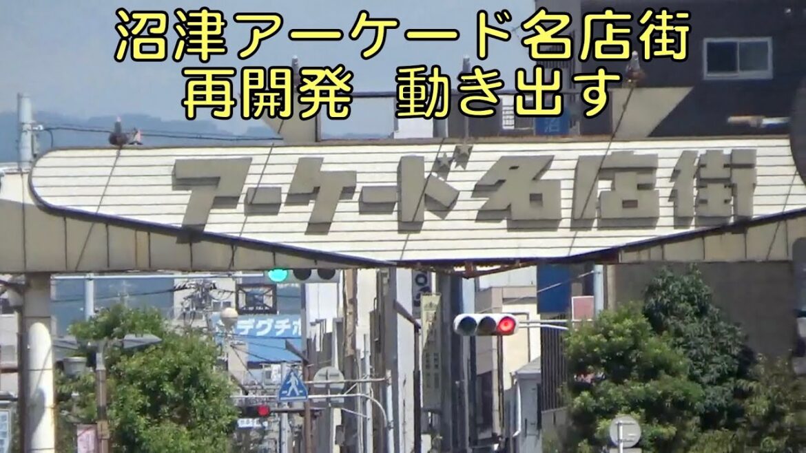 沼津アーケード名店街「再開発」動き出す 沼津アーケード名店街「再開発」動き出す