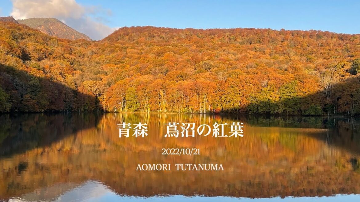 青森・蔦沼　紅葉　2022
