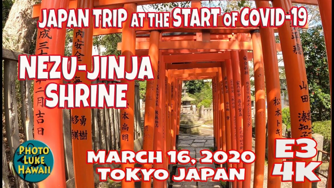 Nezu Jinja Shrine Japan Trip at the Start of Covid 19  March 16, 2020 Tokyo Japan Episode 3