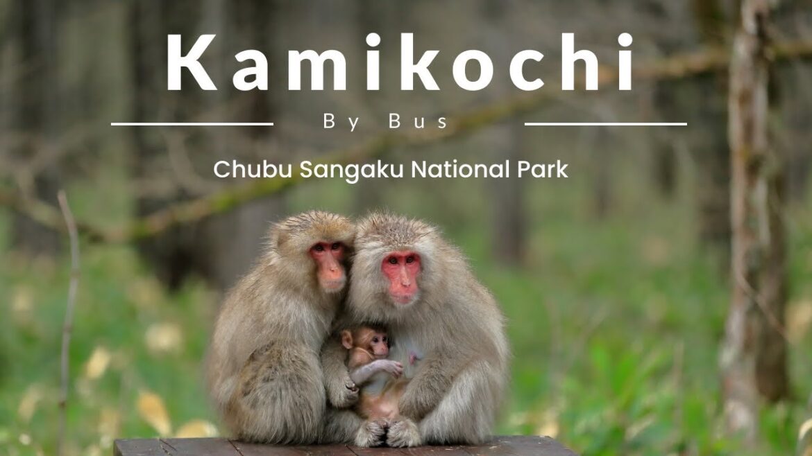 The Chubu Sangaku National Park: Kamikochi with Alpico Kotsu