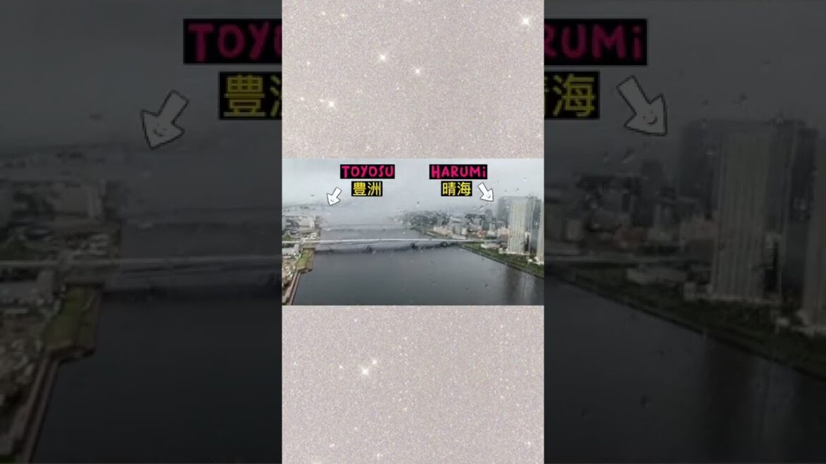 THE PENTHOUSE: The meal was flawless. I know. Everything was fantastic. THE PENTHOUSE: The meal was flawless. I know. Everything was fantastic.