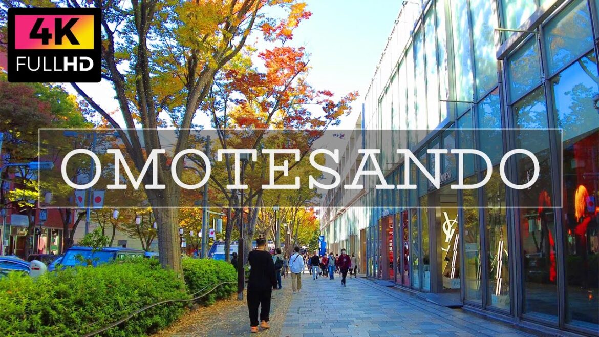 【4K】東京 秋の表参道と原宿竹下通りを散歩 | Autumn walk in Omotesando and Harajuku Takeshita Street. (Oct. 2022)