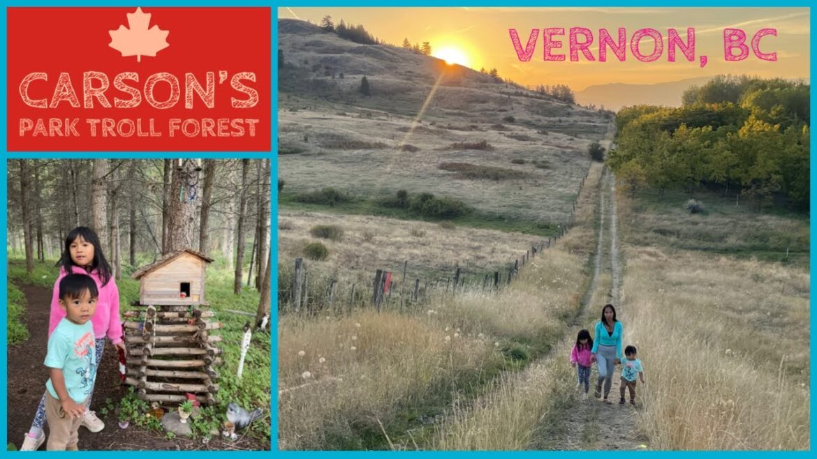 Carson's Park Troll Forest – Vernon, BC π¨π¦ Carson's Park Troll Forest - Vernon, BC π¨π¦