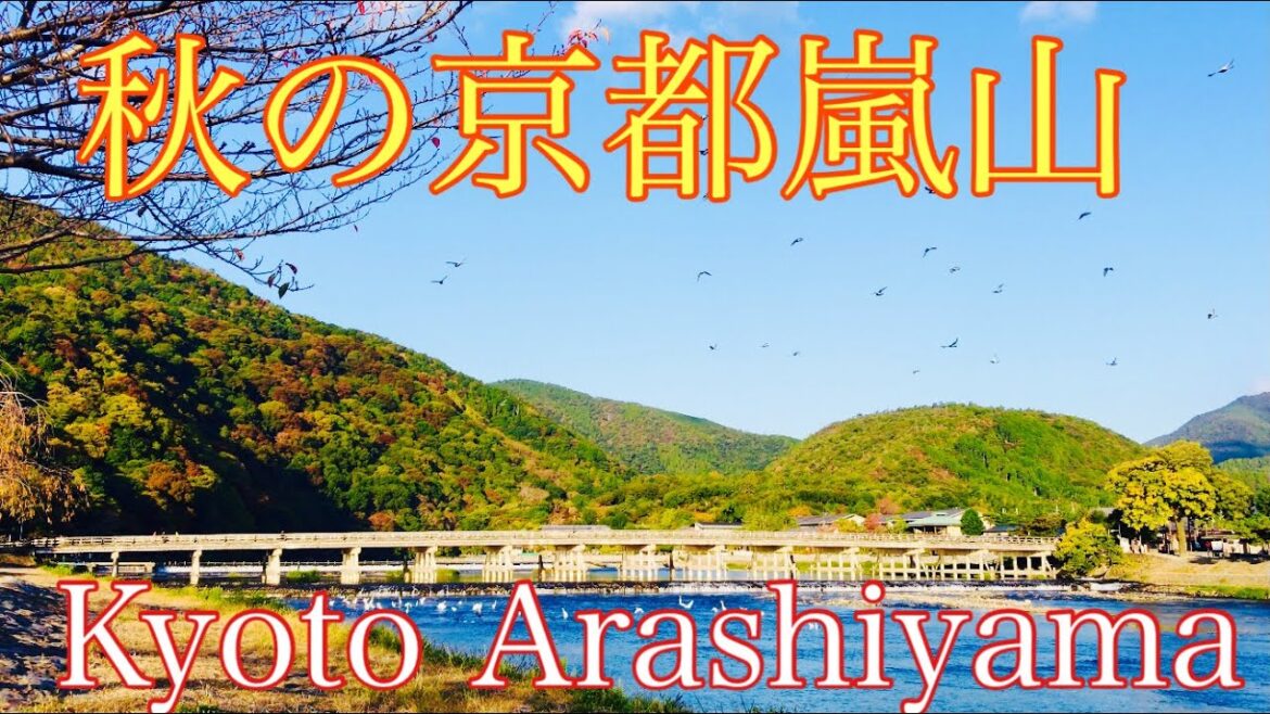 2022年10月29日(土) 秋の京都嵐山🍁 Kyoto Arashiyama in autumn