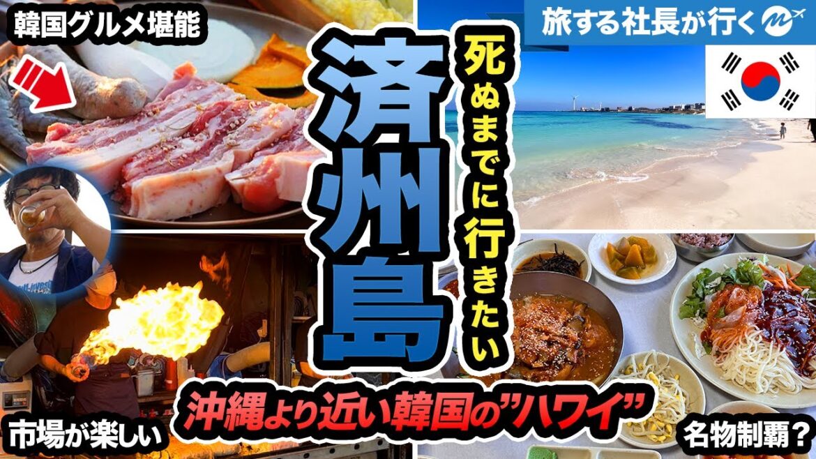 【チェジュ島グルメ2泊3日旅行】韓国の”ハワイ"済州島が絶品！最高な島だった【観光・リゾート・夜市】