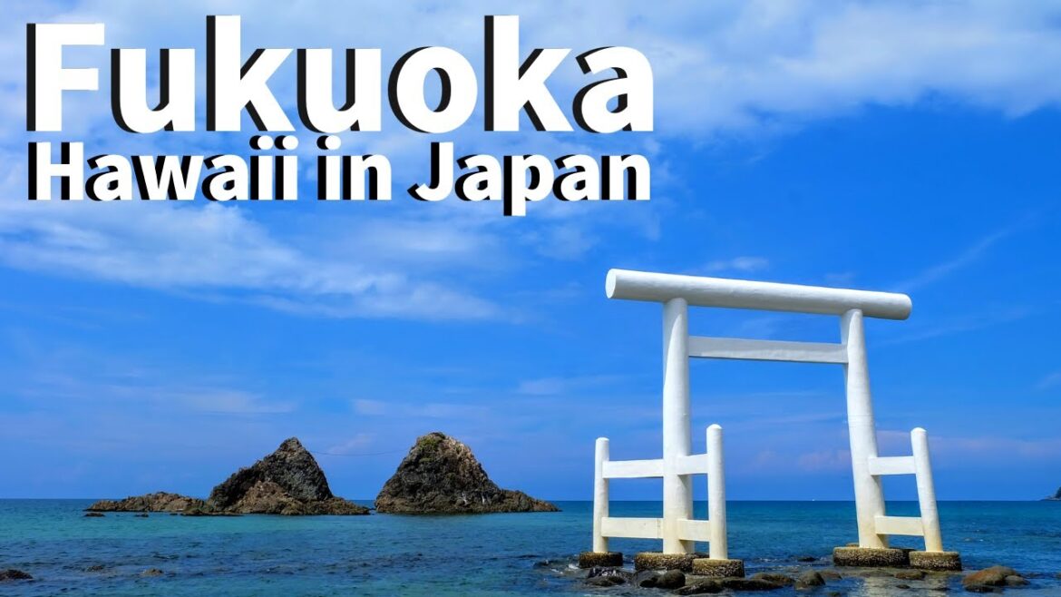 【Fukuoka/Itoshima 】Walking at Itoshima （Zauo, Meoto Iwa, Sakurai Shrine  etc）