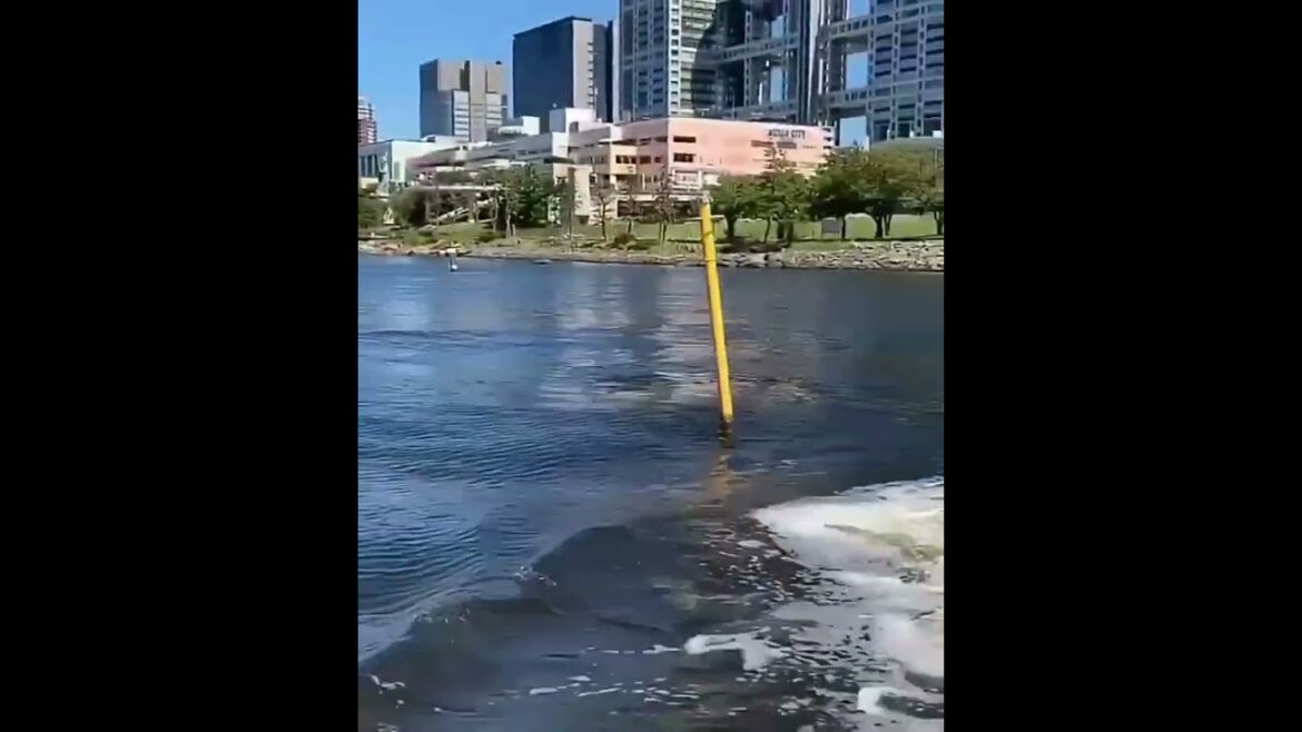 Japan 🇯🇵Lake Yamanaka
