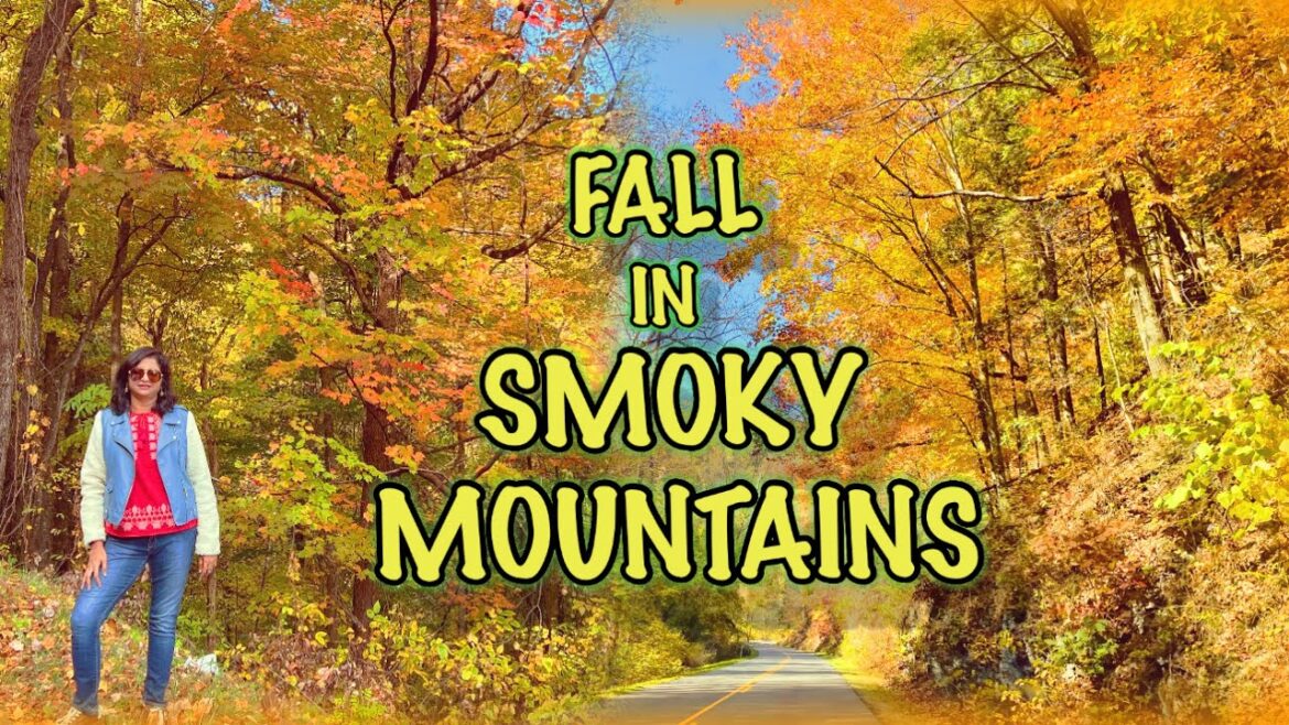 Great Smoky Mountains Fall Foliage ||Fall Colors 2022||Trailer