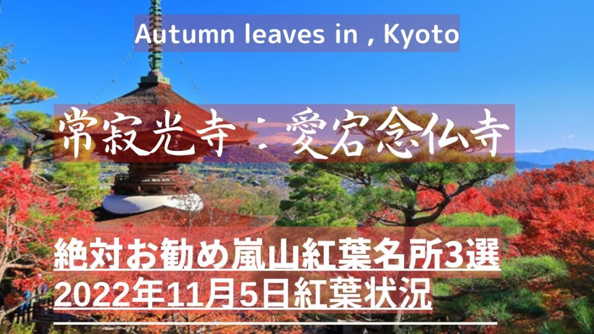 『京都紅葉2022』京都嵐山紅葉見頃は？常寂光寺：愛宕念仏寺：法輪寺（Kyoto trip）