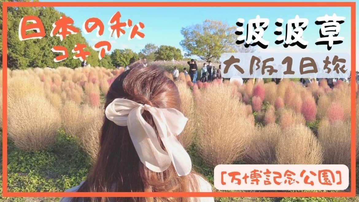 日本的秋天🍂萬博紀念公園x波波草x花海【大阪1日旅vlog 2022 】 osaka travel - Kokia in Expo Park コキア🌾
