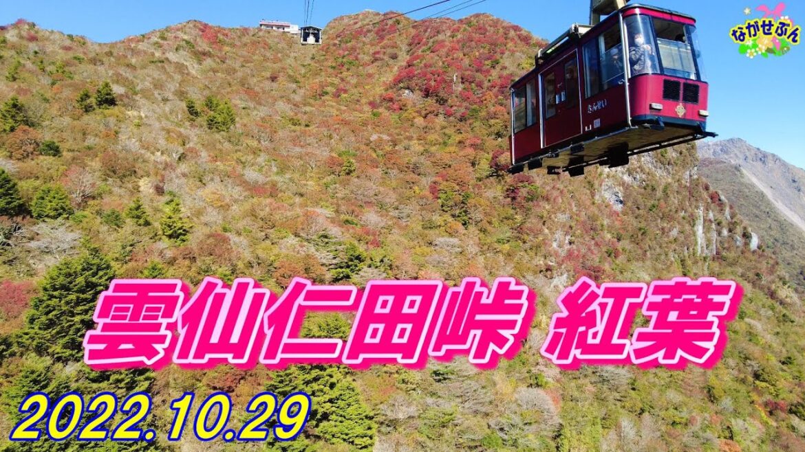 雲仙天草国立公園 🍁 雲仙仁田峠の紅葉が見頃でした 🍂 2022.10.29