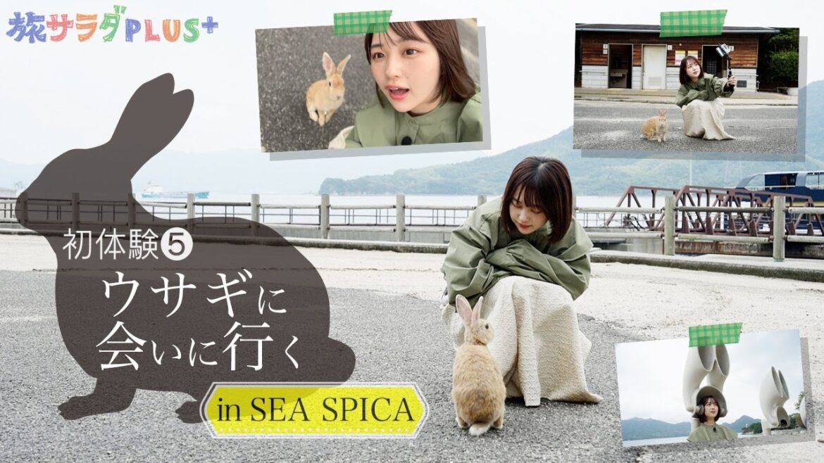 【なえなの広島旅in大久野島】うさぎに会いにいく、シースピカでの船旅!〈旅サラダ〉 【なえなの広島旅in大久野島】うさぎに会いにいく、シースピカでの船旅!〈旅サラダ〉