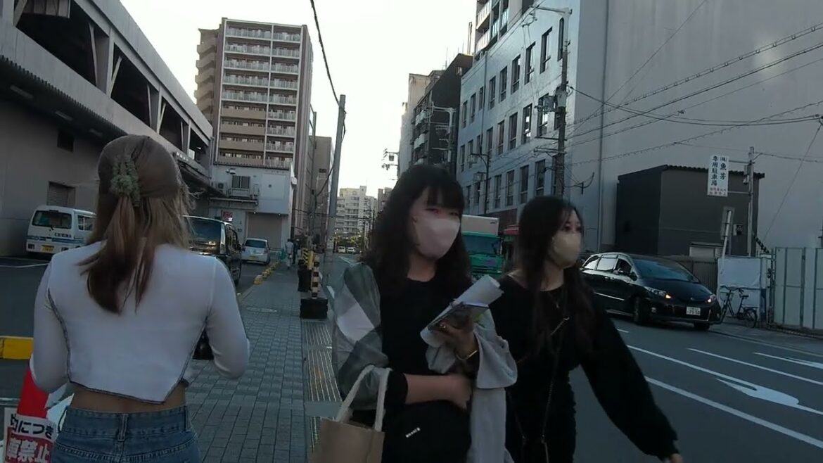 4K Japan street walk Osaka 2022 (Daikoku Temple) 4K Japan street walk Osaka 2022 (Daikoku Temple)