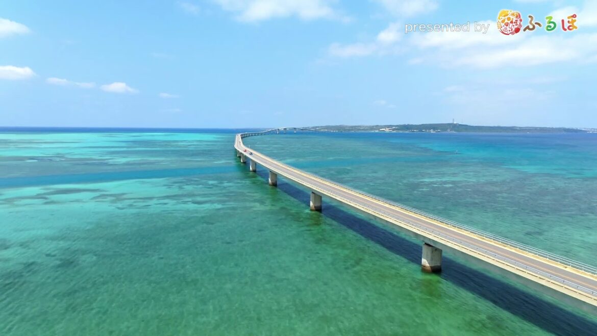 【旅行】ふるさと納税でJTBの国内旅行へ 宮古島編A【JTB公式 official】 【旅行】ふるさと納税でJTBの国内旅行へ 宮古島編A【JTB公式 official】