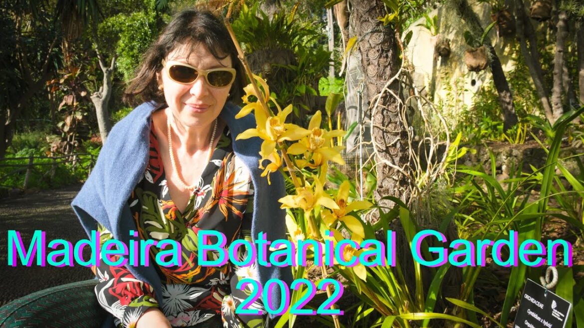 Vlog 37 - Madeira botanical garden - tropical paradise