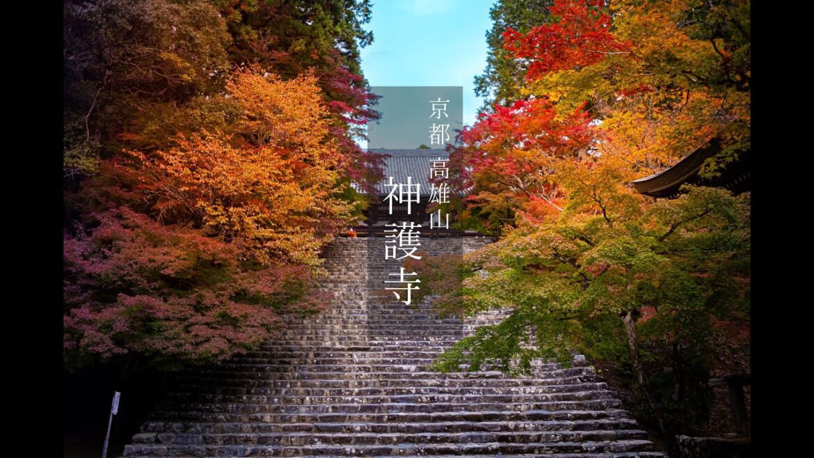 【Trip to Kyoto】高雄山 神護寺 2022.10.31|4K|京都紅葉|Kyoto|jingō-ji Temple| 【Trip to Kyoto】高雄山 神護寺 2022.10.31|4K|京都紅葉|Kyoto|jingō-ji Temple|