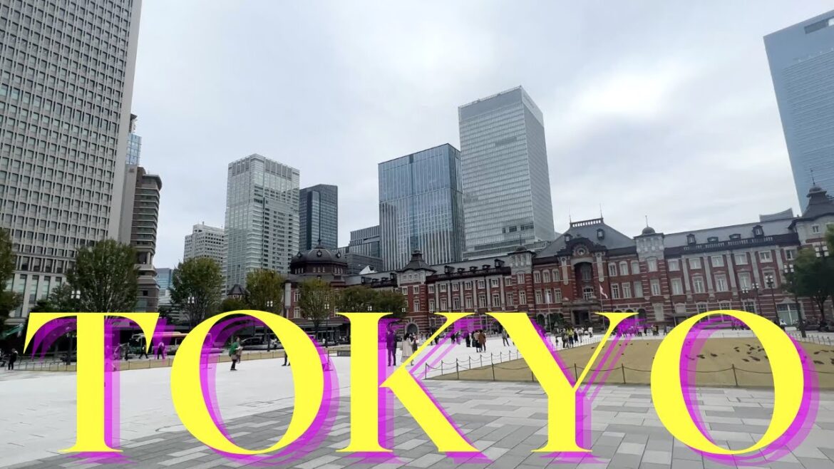 Japan||imperial palace garden in tokyo|vol.20|explore food and travel vlogs