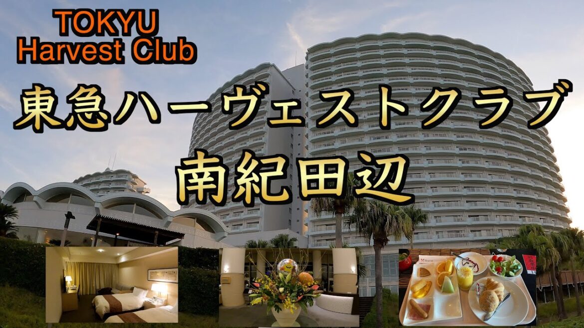 東急ハーヴェストクラブ南紀田辺 宿泊記 部屋からの眺望&夕食&朝食素晴らしかったです! 東急ハーヴェストクラブ南紀田辺 宿泊記 部屋からの眺望&夕食&朝食素晴らしかったです!