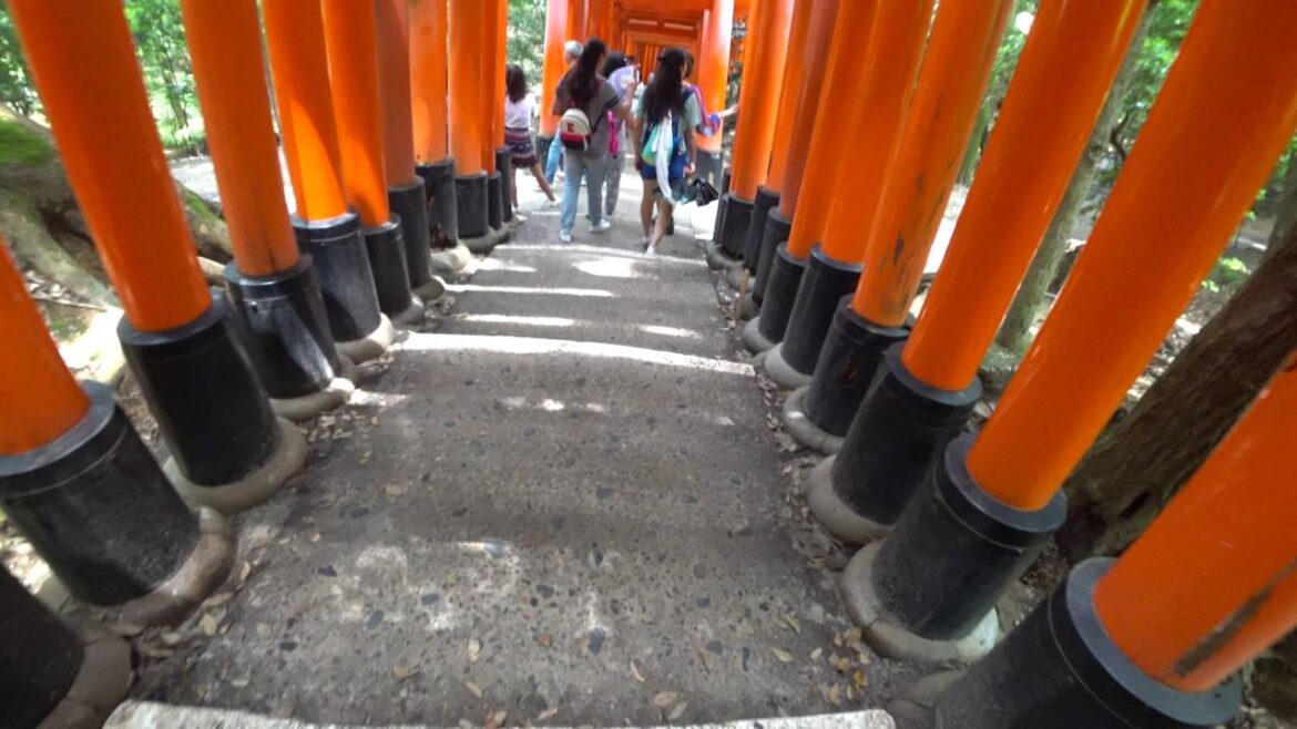 【4K】Let's go to Fushimi-Inari Taisha in Kyoto Part2 -  Attractions of Japan
