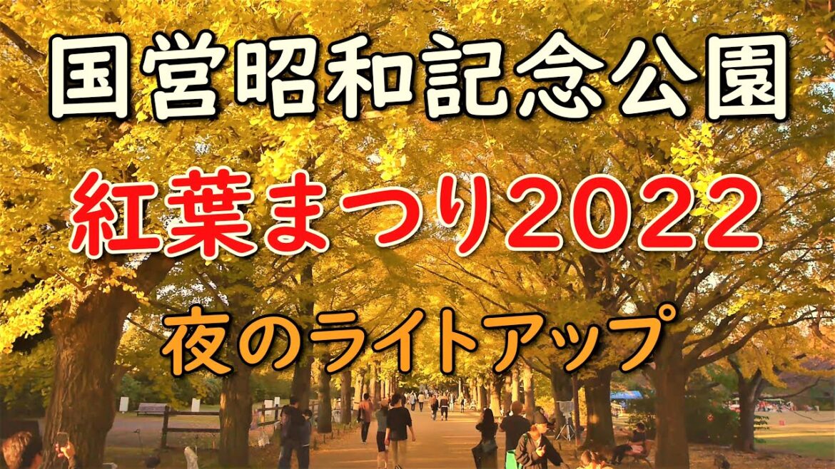 国営昭和記念公園紅葉まつりライトアップ2022