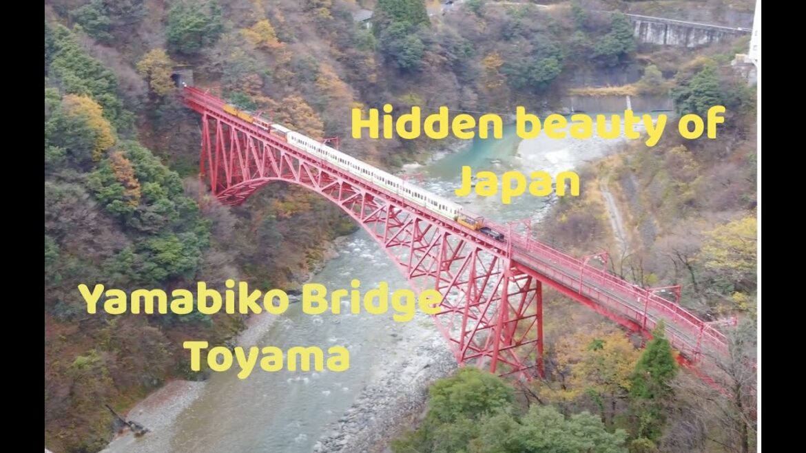 Hidden beauty of Japan. Yamabiko bridge or Honazaki bridge Toyama, Mavic mini 2 4k shooting