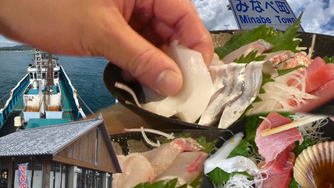 Wakayama Sashimi Paradise 🐠