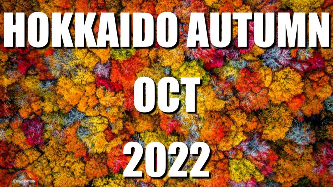 Hokkaido 北海道 | Autumn Foliage 秋天枫叶 | Oct 2022 | 4K