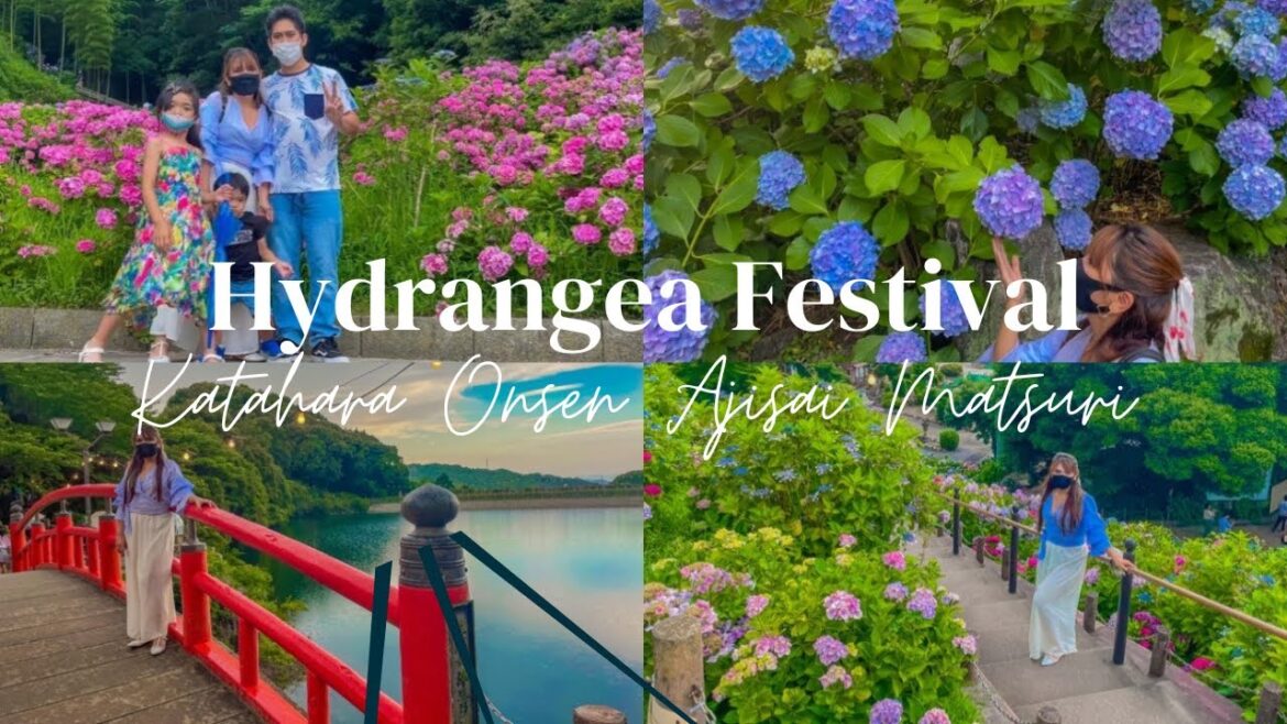 Hydrangea Festival @ Katahara Onsen Ajisai no Sato | Gamagori, Aichi