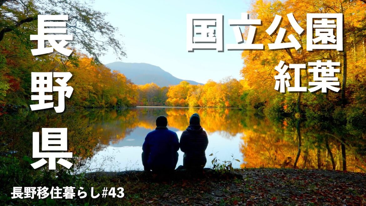 【長野移住】鏡の様に水面に映る紅葉を見に行ってみたら・・・|鎌池|高瀬渓谷|七色大カエデ|AFERIY|ドライブ|田舎暮らし|長野県|4K 【長野移住】鏡の様に水面に映る紅葉を見に行ってみたら・・・|鎌池|高瀬渓谷|七色大カエデ|AFERIY|ドライブ|田舎暮らし|長野県|4K
