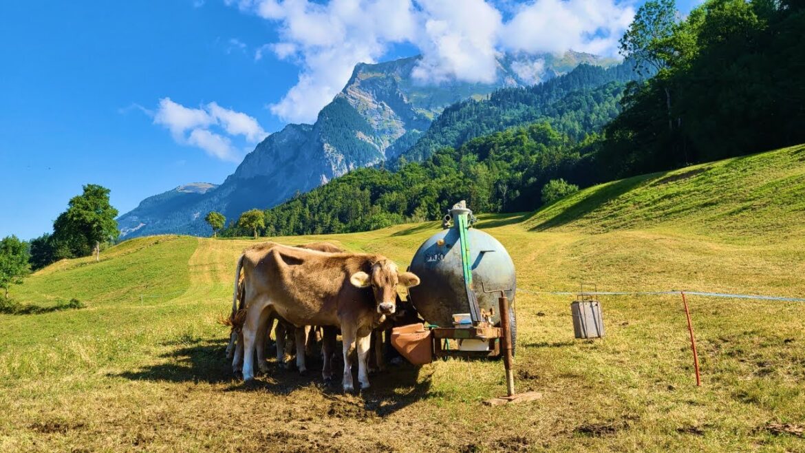 Starting my Remote Work and Travel Life – Germany, South Tyrol and Switzerland Vlog Starting my Remote Work and Travel Life - Germany, South Tyrol and Switzerland Vlog